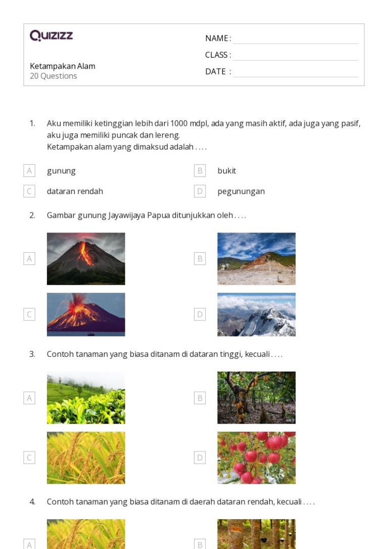 10 Contoh Soal IPS Kelas 4 untuk Materi Sumber Daya Alam yang Wajib Dipelajari Siswa