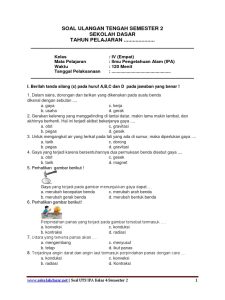 5 Soal IPA Kelas 7 Semester 2 Bab 4 Sistem Reproduksi Manusia