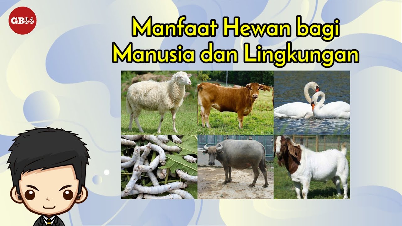 Apa Manfaat Hewan Untuk Manusia Bocoran Jawaban Soal Kelas 3 SD Tema 2