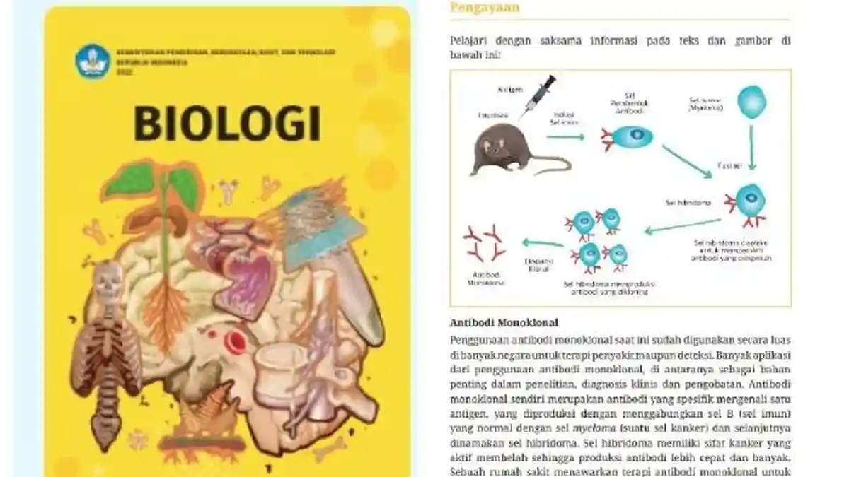 Kunci Jawaban Soal Sumatif Biologi SMA Kelas 11 Semester 2 Kunci
