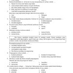 5 Soal Bahasa Indonesia Kelas 5 Semester 2 PDF Paling Sering Keluar, Wajib Hafal Sekarang