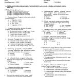 Akhirnya Terungkap 5 Modul Soal PKN Kelas 3 Semester 2 Kurikulum 2013 dari Bimbel Brilian