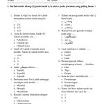 3 Rahasia Hanapi Bani Jawab Soal Al Quran Hadis Kelas 2 Semester 1 dengan Mudah