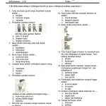 Jangan Sampai Salah Pilih Latihan, Ini Contoh Soal UAS PJOK Kelas 4 Semester 1 yang Wajib Dipelajari